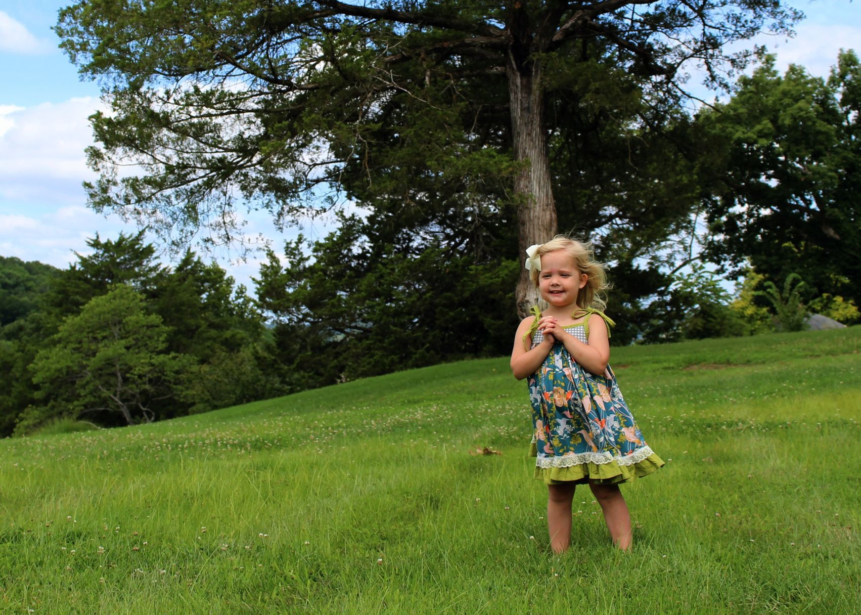 Olive + Peony_Hovering Hummingbirds Sundress.JPG